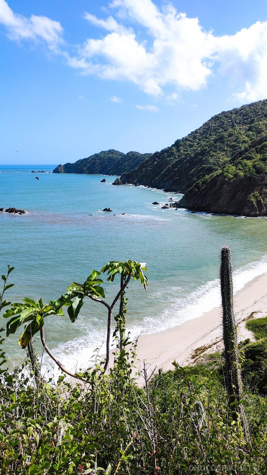 Sandee Playa Limoncito