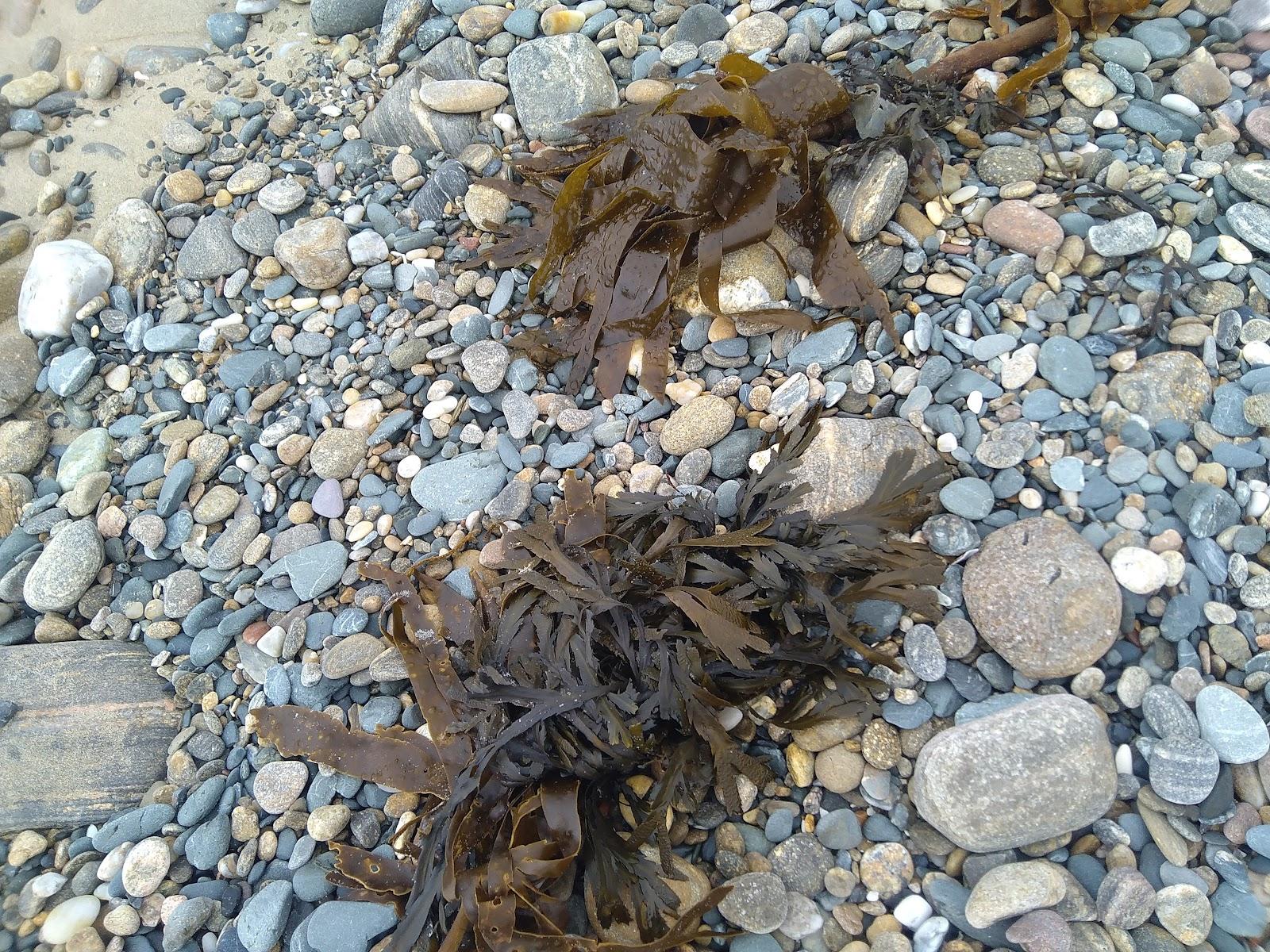Sandee Tresta Beach
