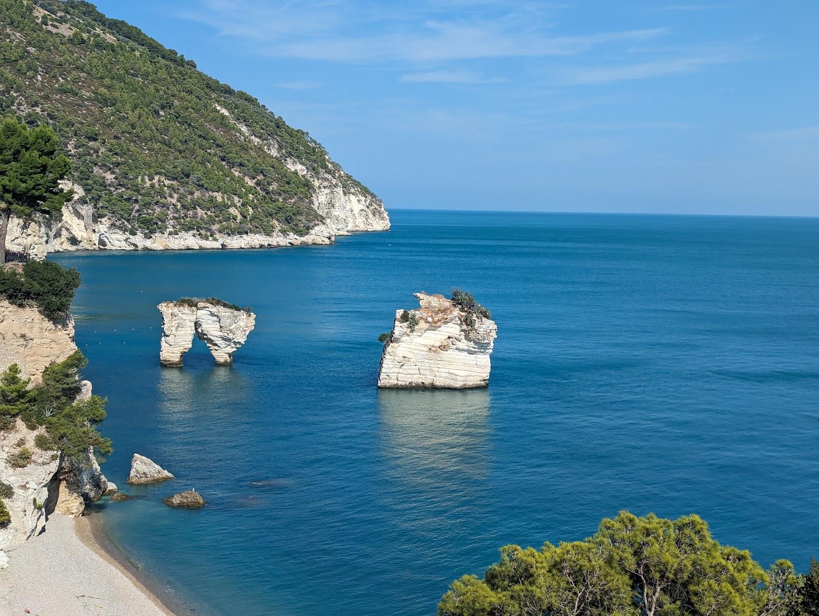 Sandee Spiaggia Di Baia Dei Mergoli
