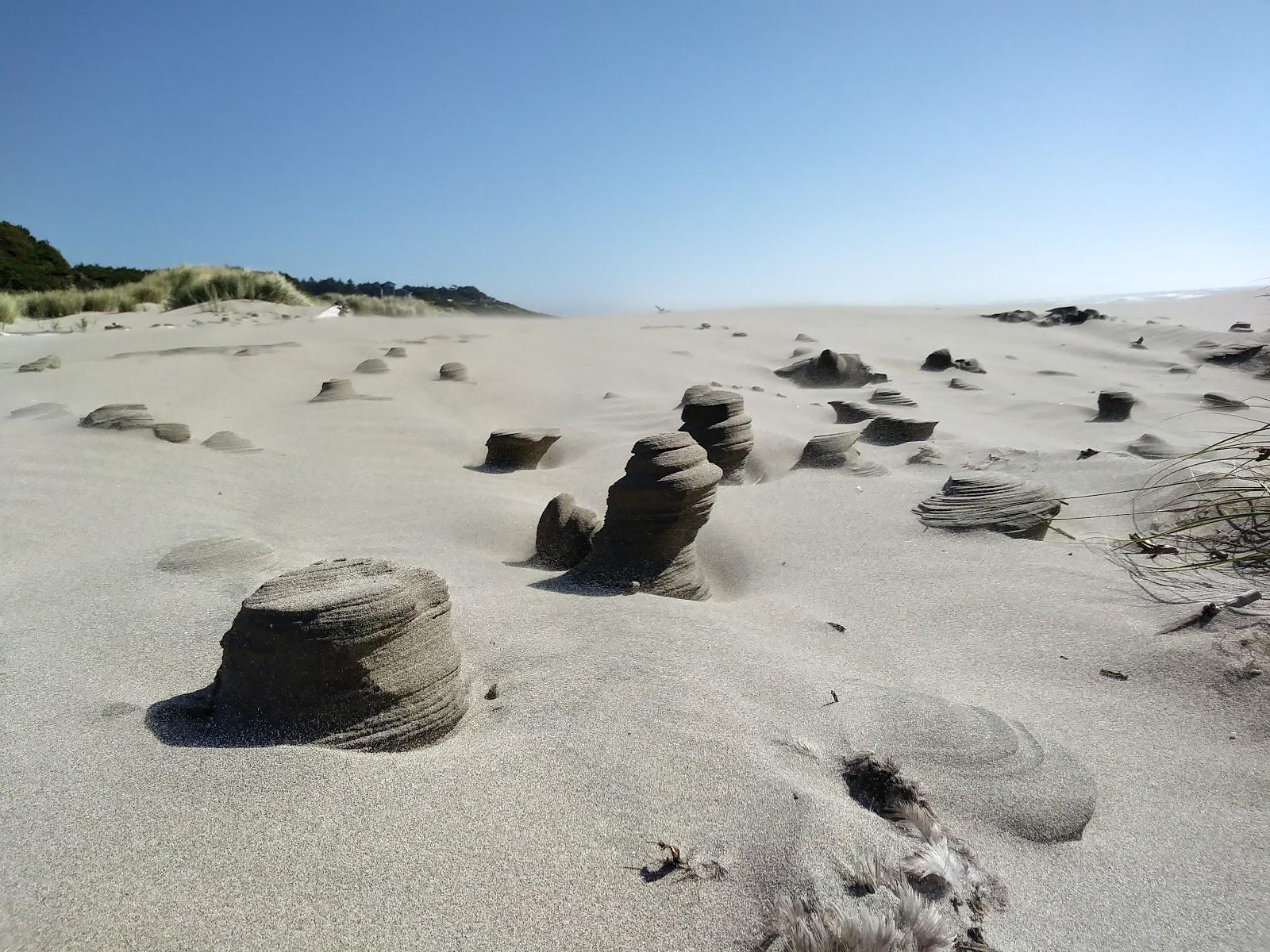 Sandee - Driftwood Beach State Recreation Site