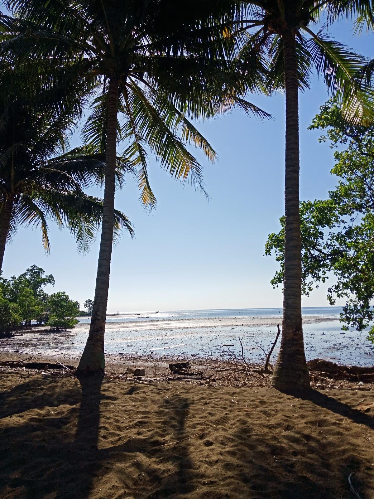 Sandee Wisata Pantai Mangrove Ampallas Photo