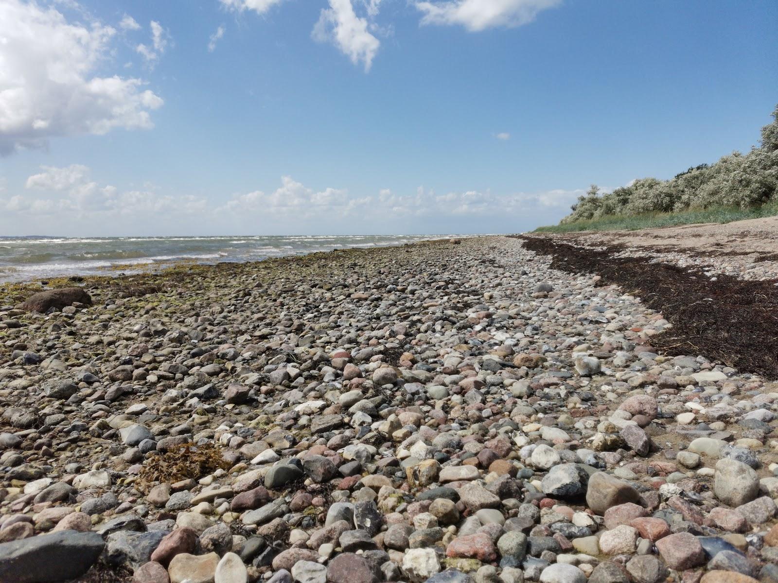Sandee Poeler Strandbank