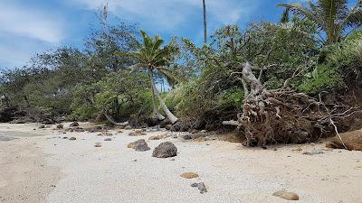 Sandee - Black Rock Beach Fiji