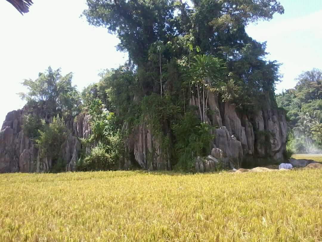 Sandee Pantai Gelam