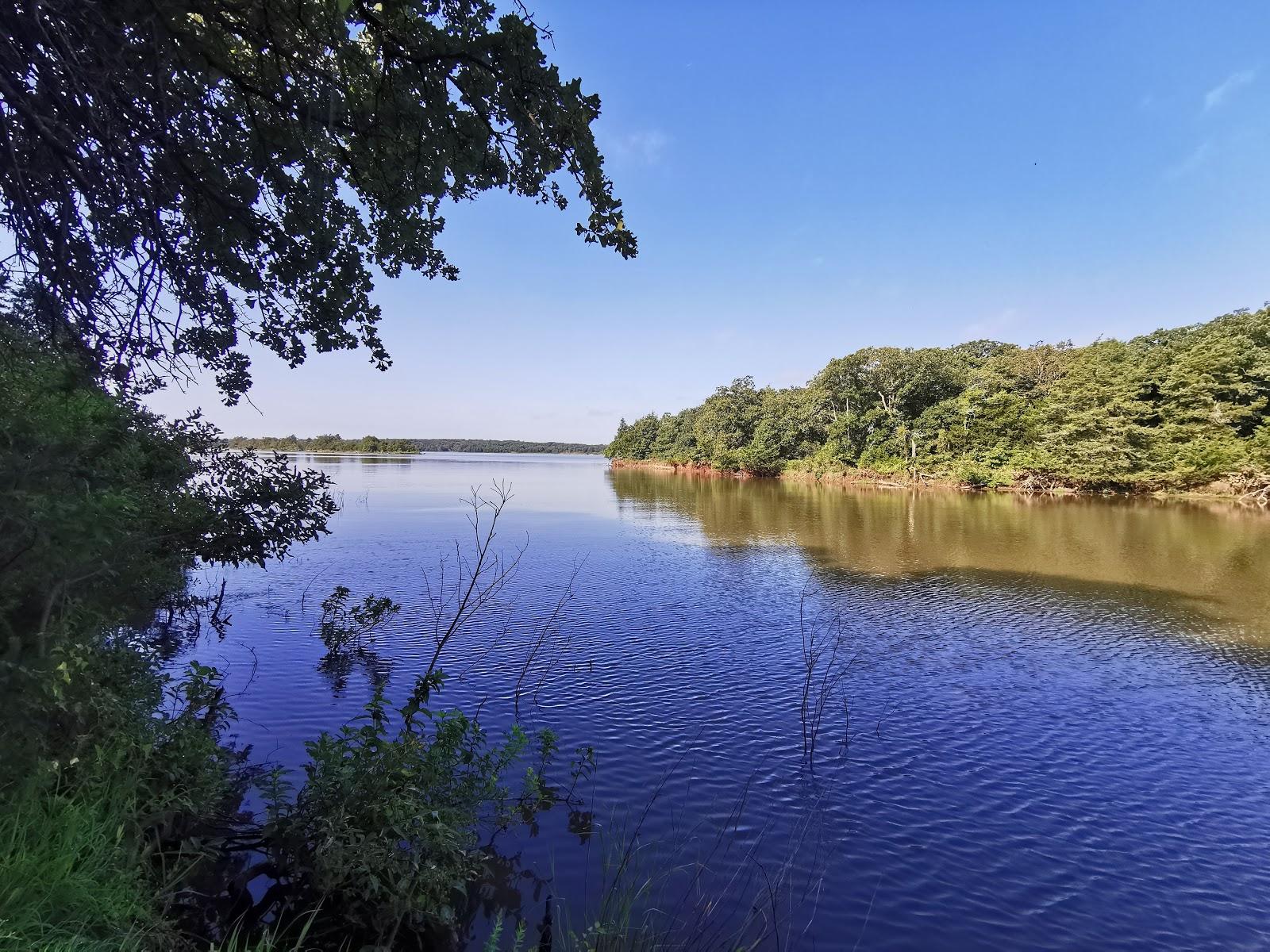 Sandee Lake Mcmurtry East Recreation Area
