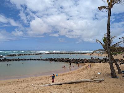 Sandee - Lydgate Beach Park