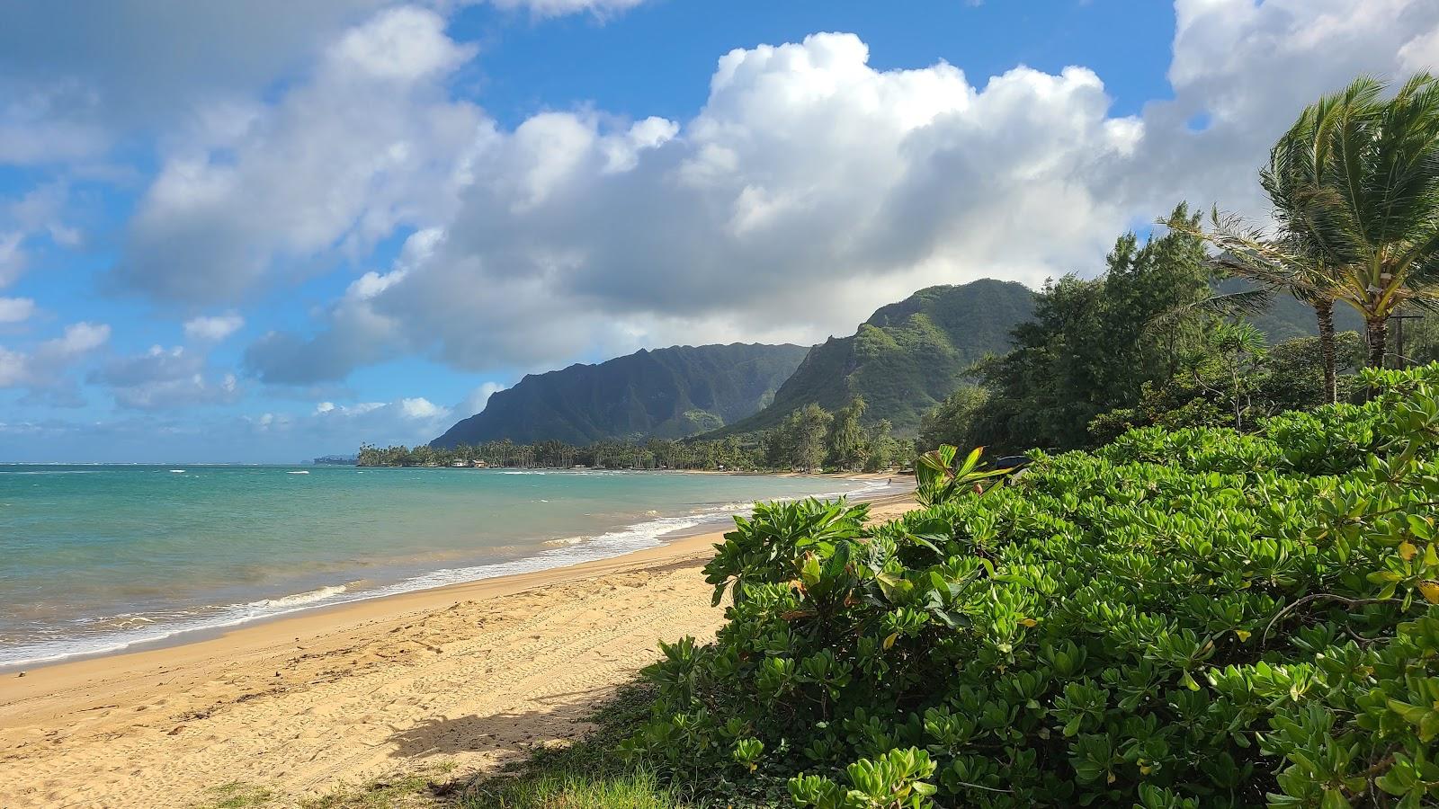 Sandee - Punaluu Beach Park