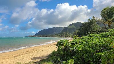 Sandee - Punaluu Beach Park