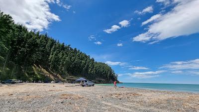 Sandee - Teviotdale Beach