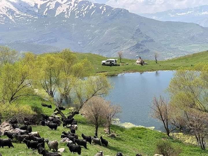 Sandee - HomePage / Barzan