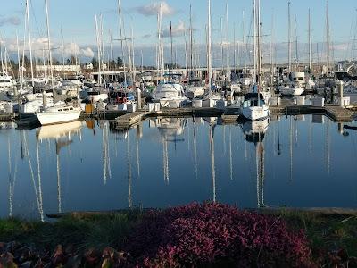 Sandee - Blaine Marine Drive Park