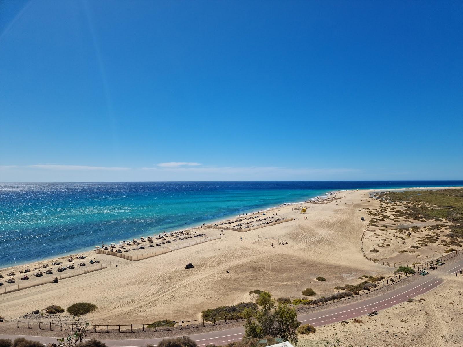 Sandee Playa De Jandia