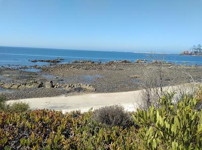 Sandee - Praia De Vale Figueiros