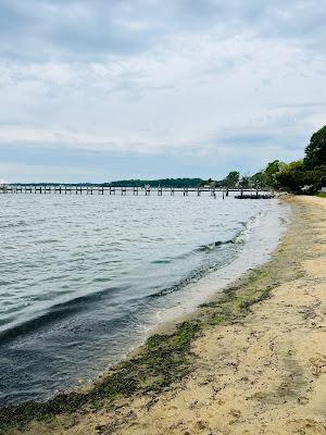 Sandee - Hillsmere Shores Community Beach