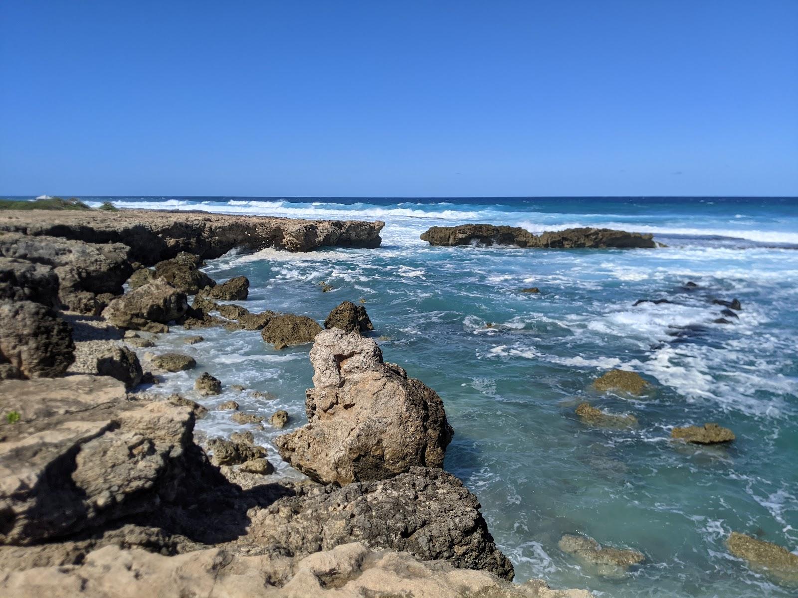 Sandee - Ka'Ena Point State Park