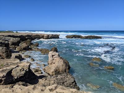 Sandee - Ka'Ena Point State Park