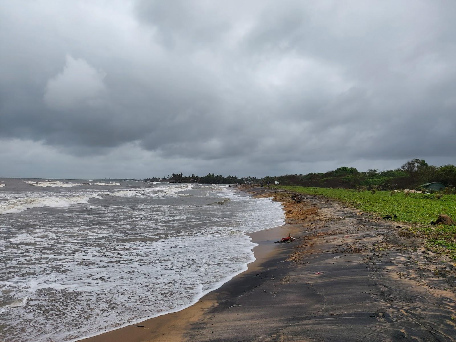 Sandee - Crow Island Beach