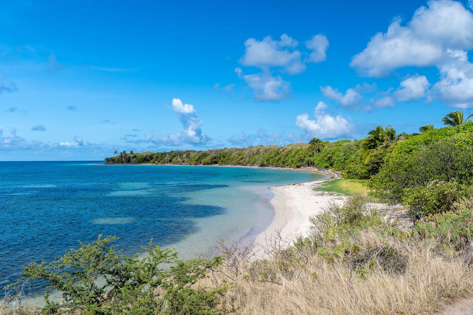 Sandee Plage Des Pruneaux

