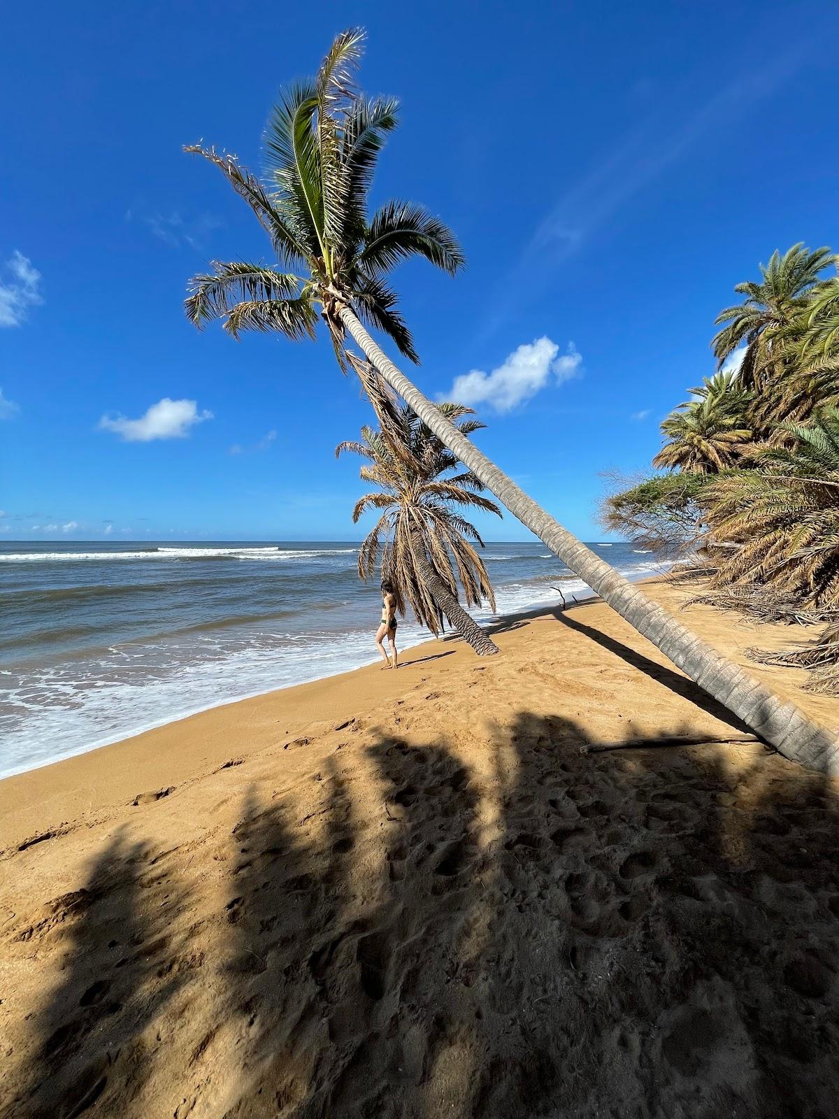 Sandee - Pakala Beach