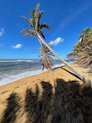 Sandee - Pakala Beach