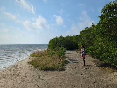 Sandee - Picnic Island Park