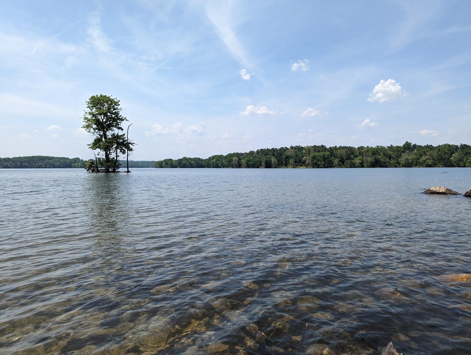 Sandee Loch Raven Reservoir Beach