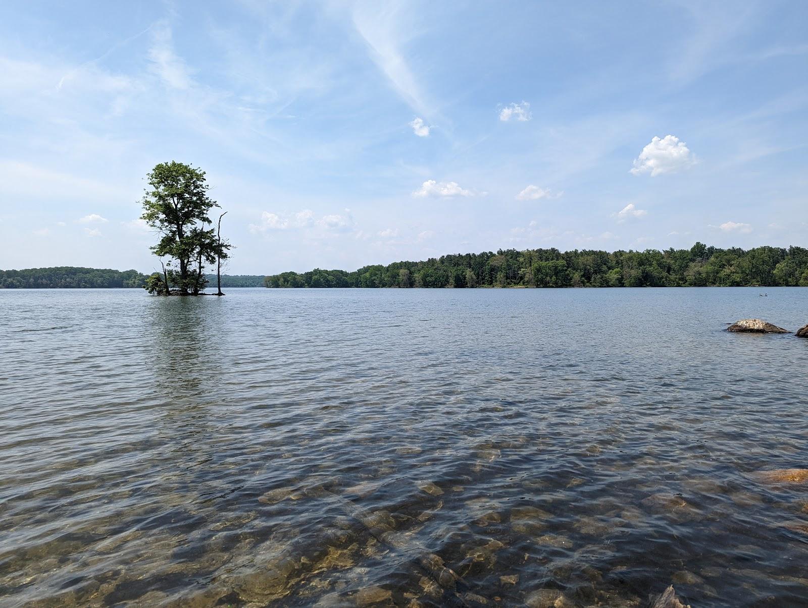 Sandee Loch Raven Reservoir Beach Photo