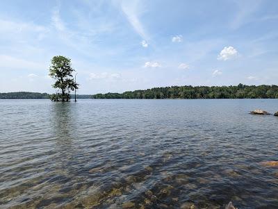 Sandee - Loch Raven Reservoir Beach