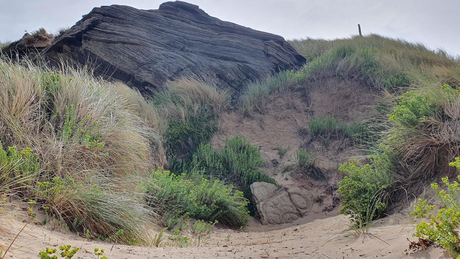 Sandee Mount Cameron Beach Photo