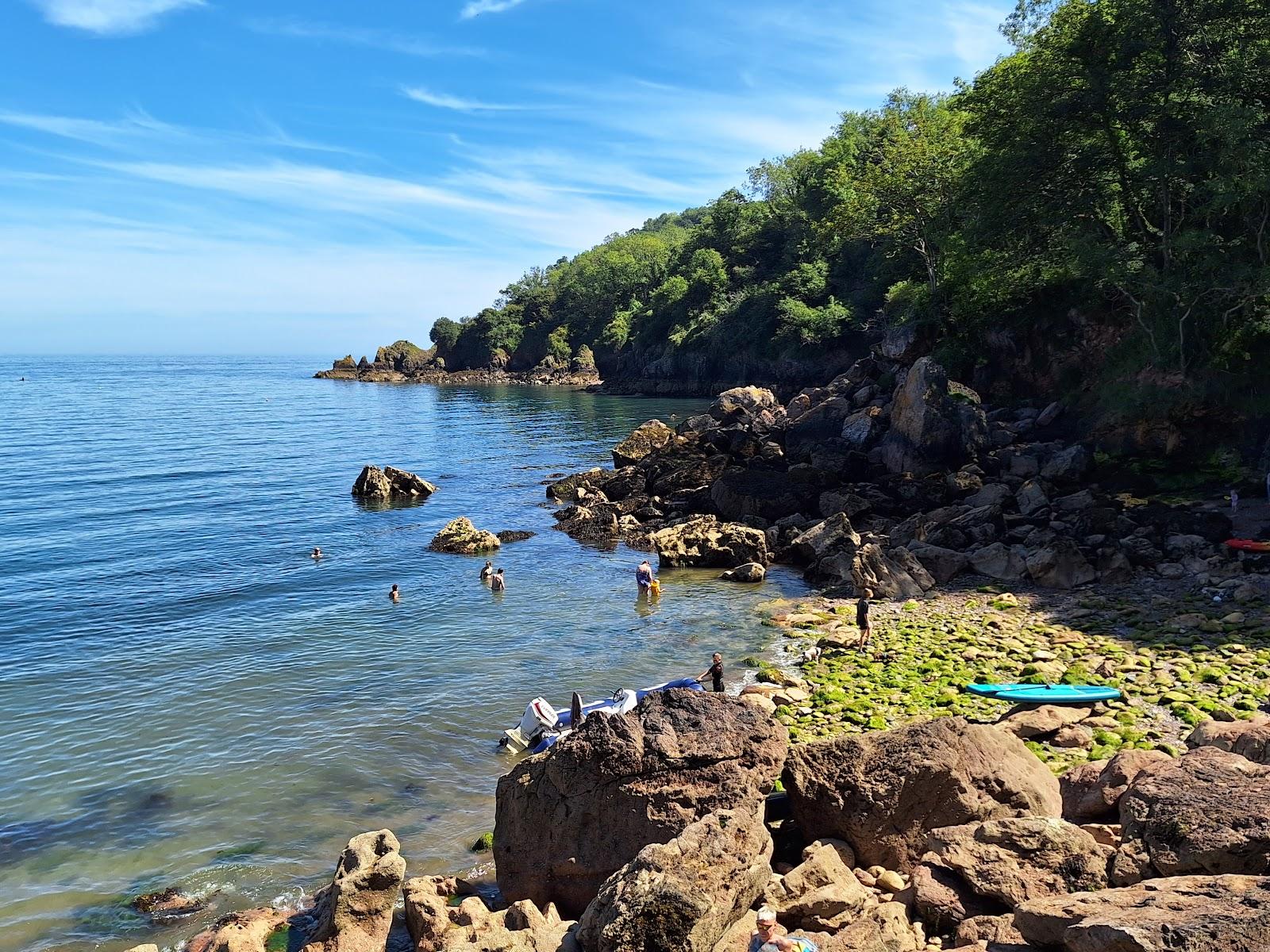 Sandee Anstey's Cove Beach