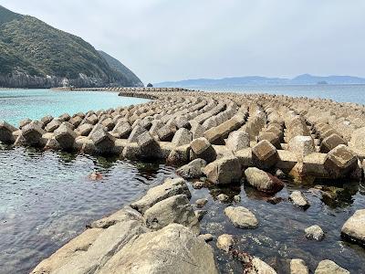 Sandee - Arasaki Beach