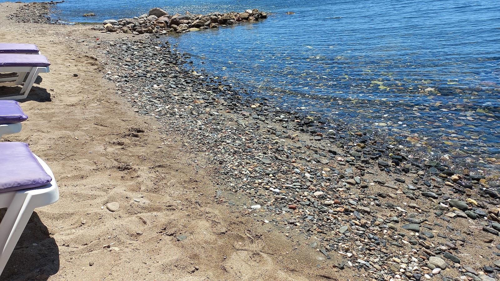 Sandee Ozgun Cafe Beach