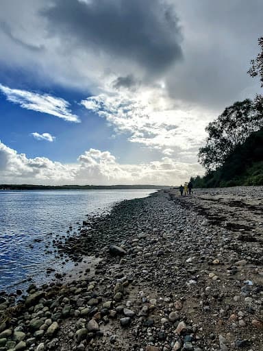 Sandee - Hundestrand Falckenstein