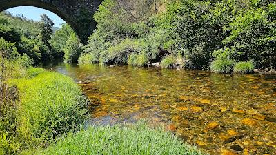 Sandee - Fluvial Do Alfusqueiro Beach