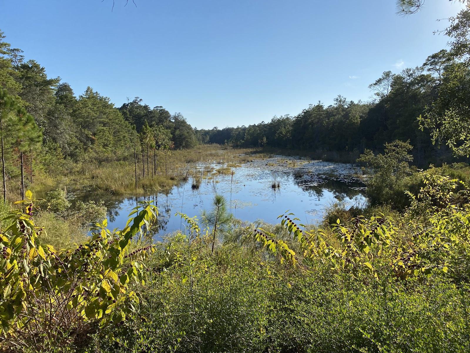 Sandee - Rocky Bayou