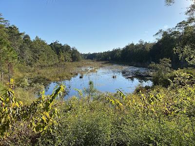 Sandee - Rocky Bayou