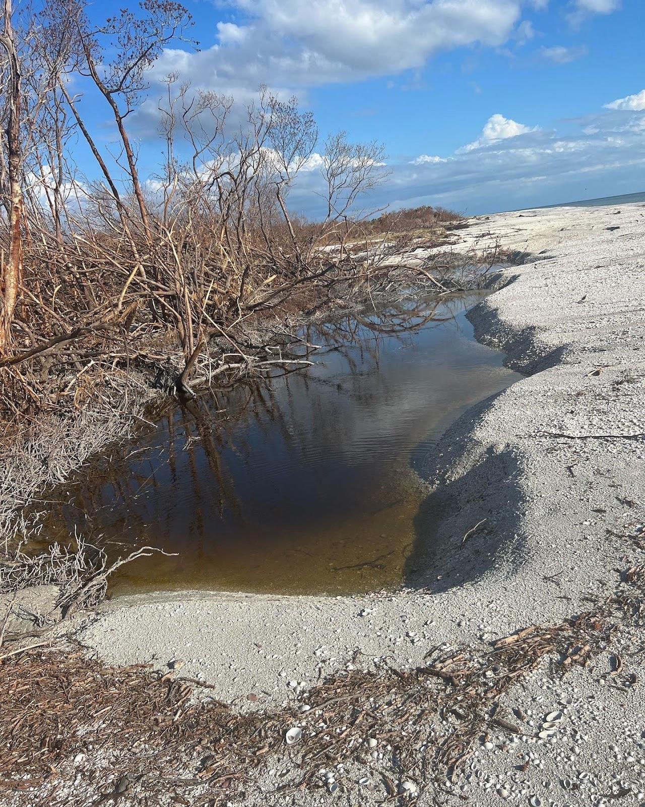 Sandee - Silver Key Beach