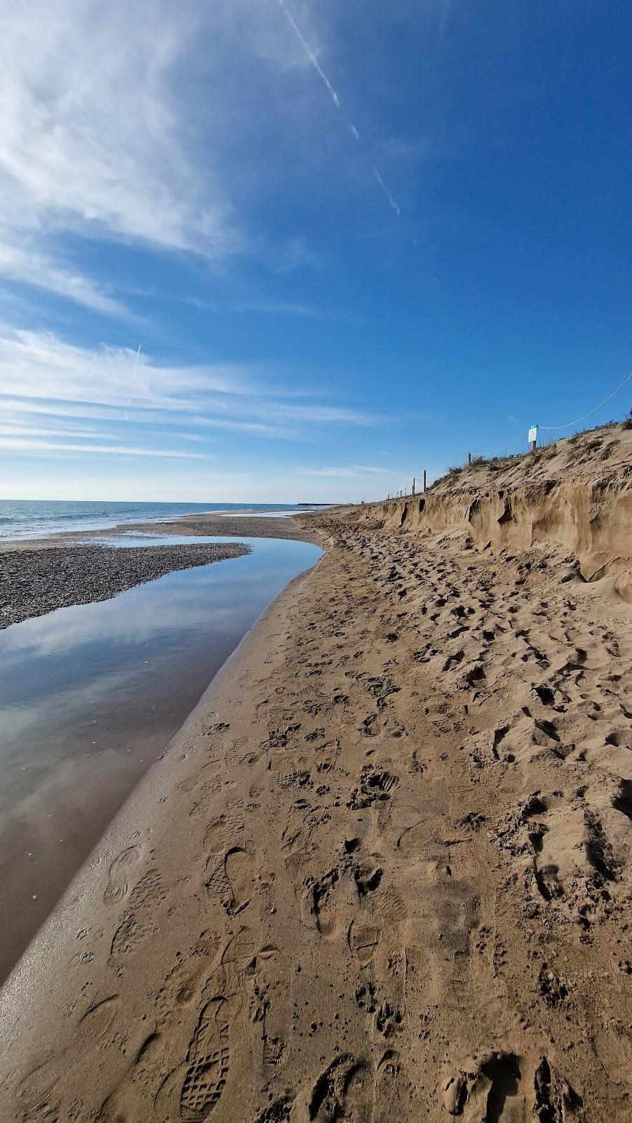 Sandee - Platja De La Pineda