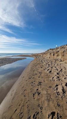 Sandee - Platja De La Pineda