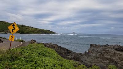 Sandee - Murphy Beach Park