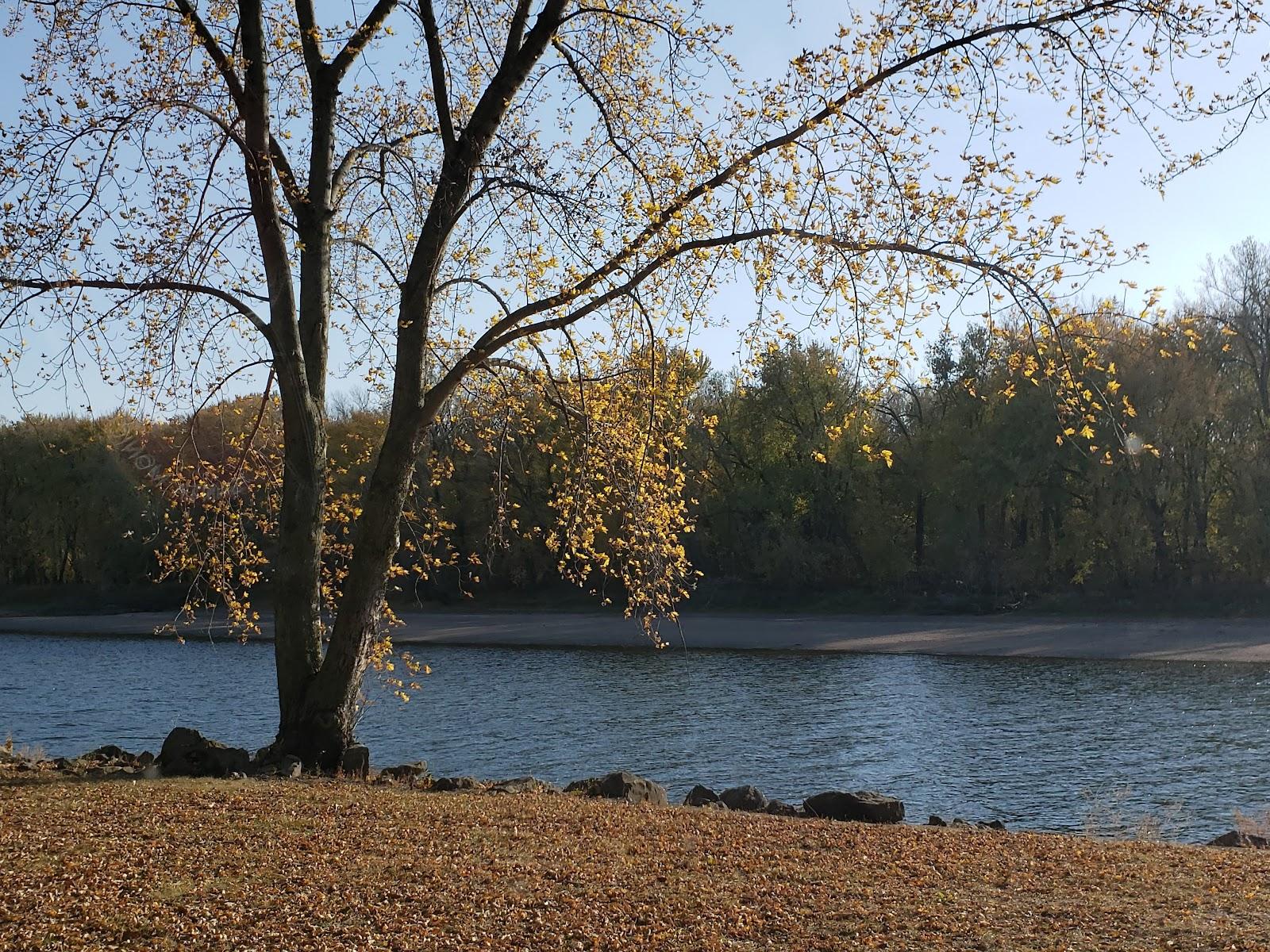 Sandee George Wyth State Park Photo