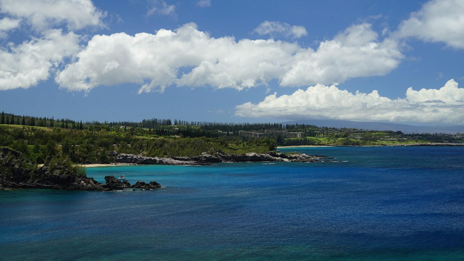 Sandee - Honolua Bay