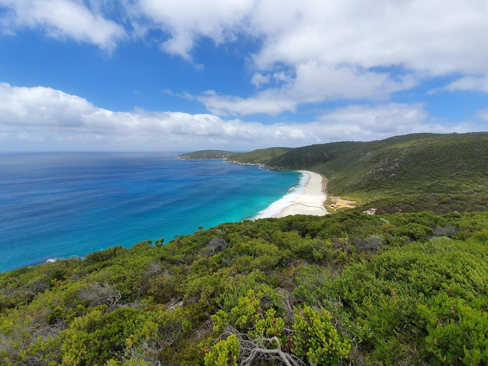 Sandee Shelly Beach Photo