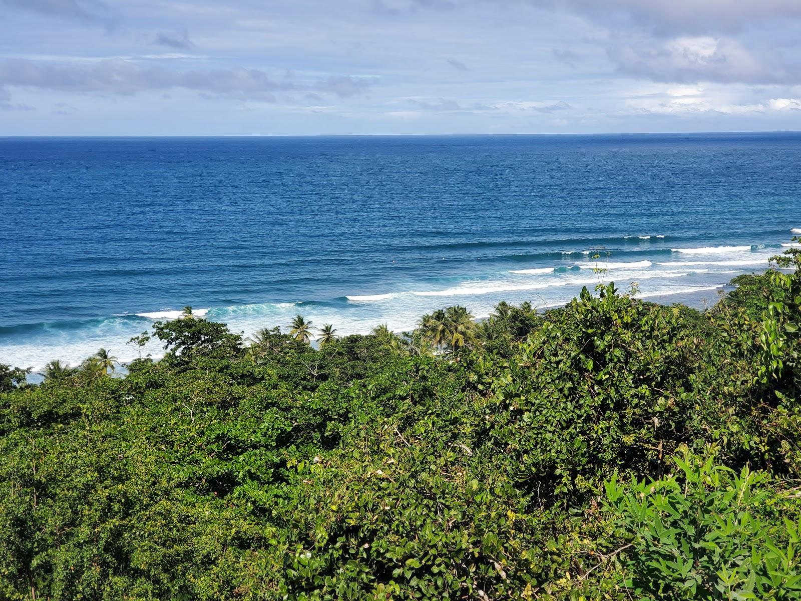 Sandee Surfer's Beach Photo