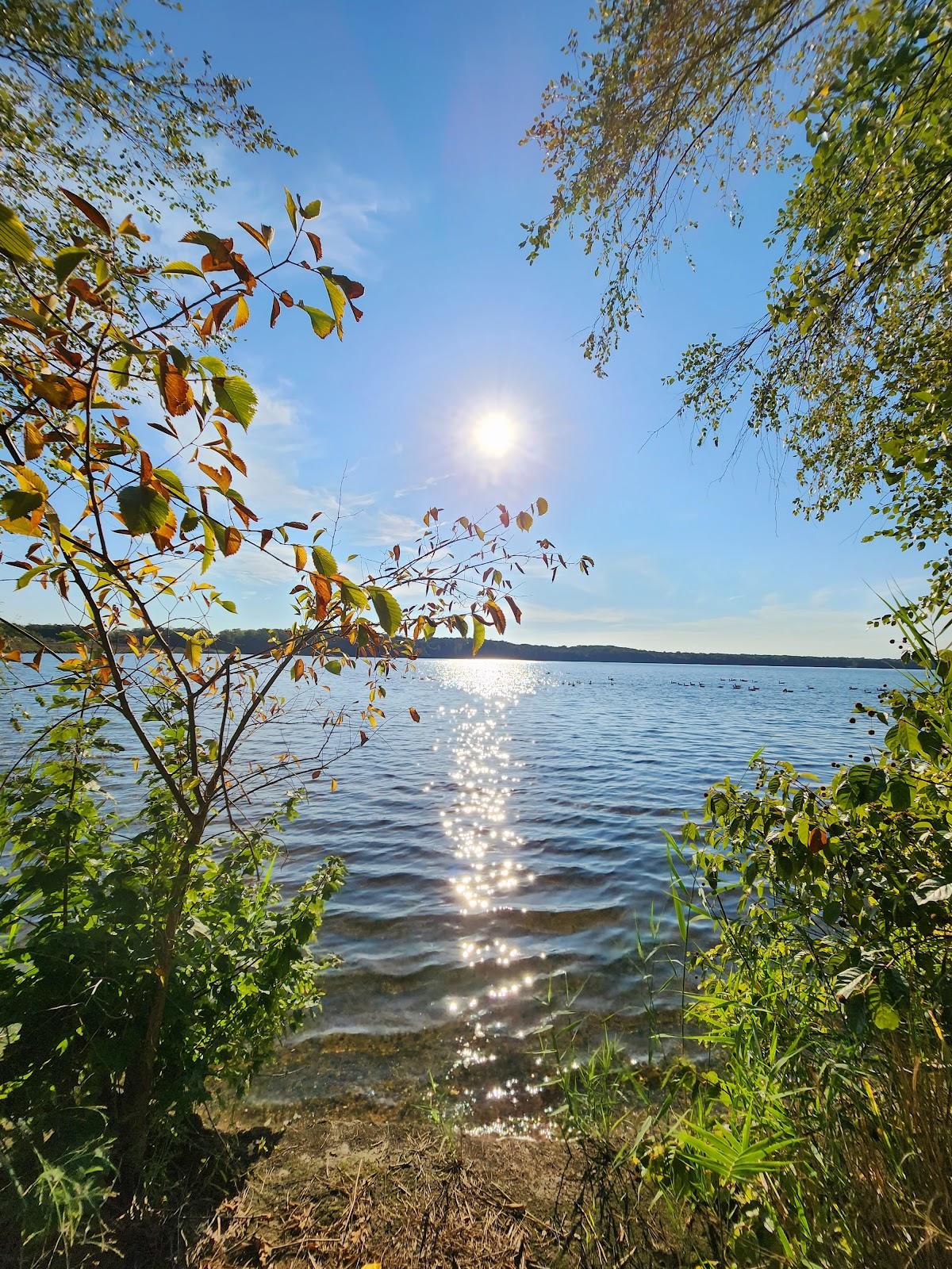 Sandee Union Lake Beach Photo