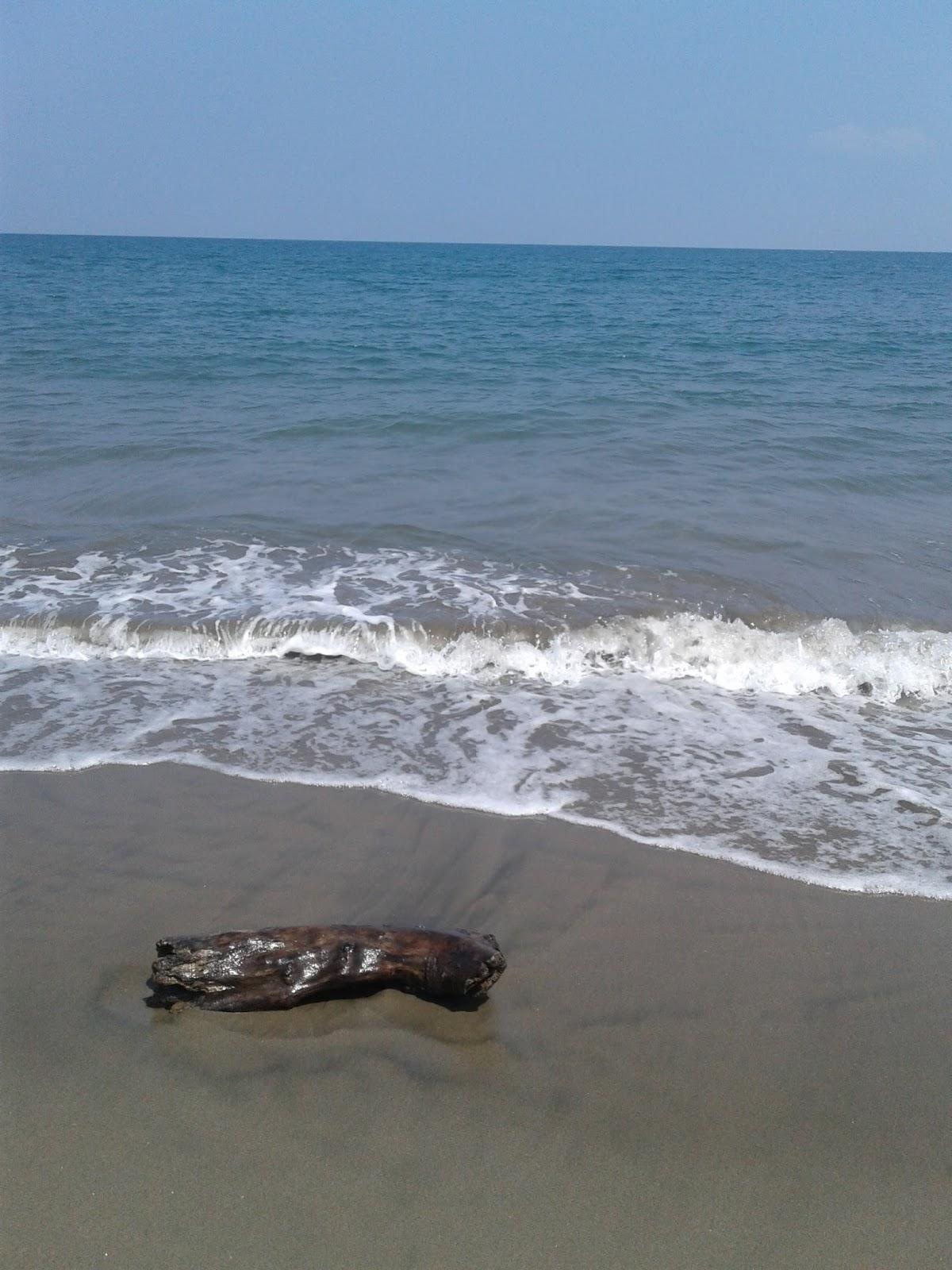 Sandee Pantai Jangka Matang Glp 2