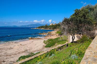 Sandee - Plage De Portigliolo