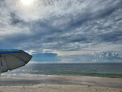 Sandee - Saint George Island State Park