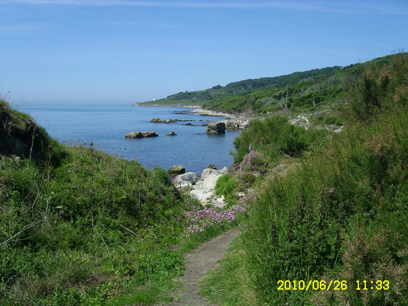 Sandee Binnel Bay Beach