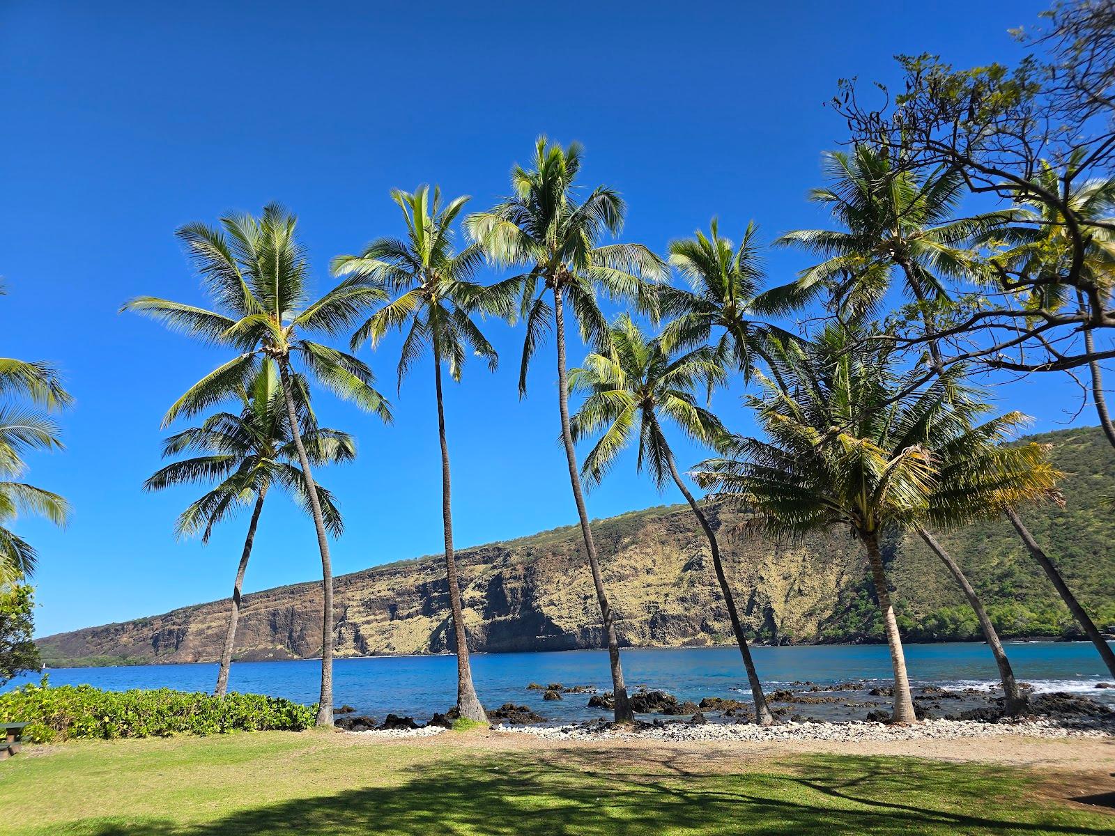 Sandee - Napoopoo Beach